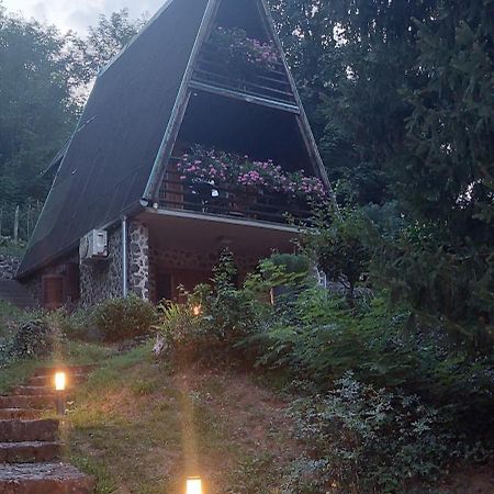 Holiday Home Dragonfly River House On Korana Near Plitvice And Mreznica Barilovic Buitenkant foto