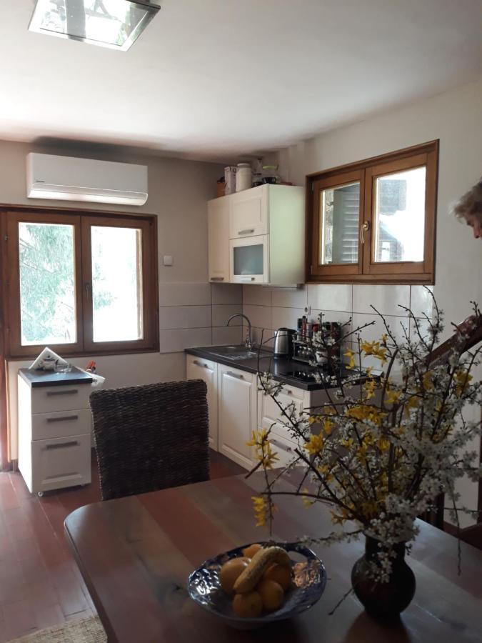 Holiday Home Dragonfly River House On Korana Near Plitvice And Mreznica Barilovic Buitenkant foto