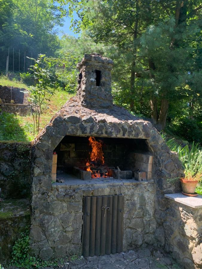 Holiday Home Dragonfly River House On Korana Near Plitvice And Mreznica Barilovic Buitenkant foto